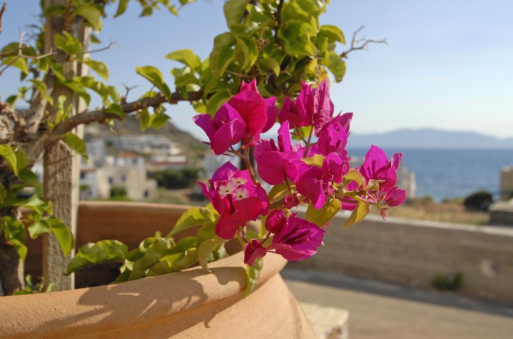 Pantonia Apartments Agia Pelagia  Oda fotoğraf